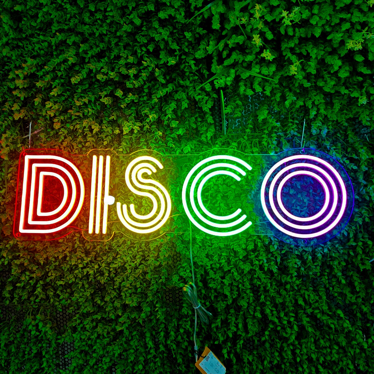 Disco - Neon Sign