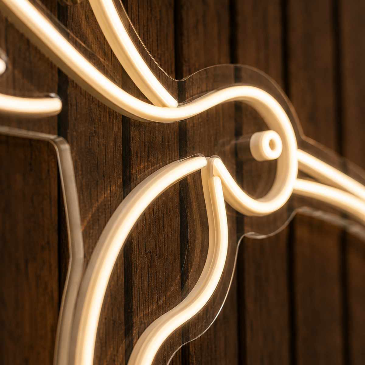 Humming Bird - Neon Sign