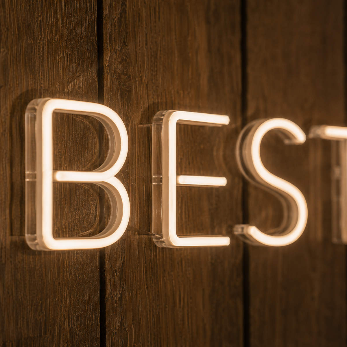 I Do My Best For A Living - Neon Sign