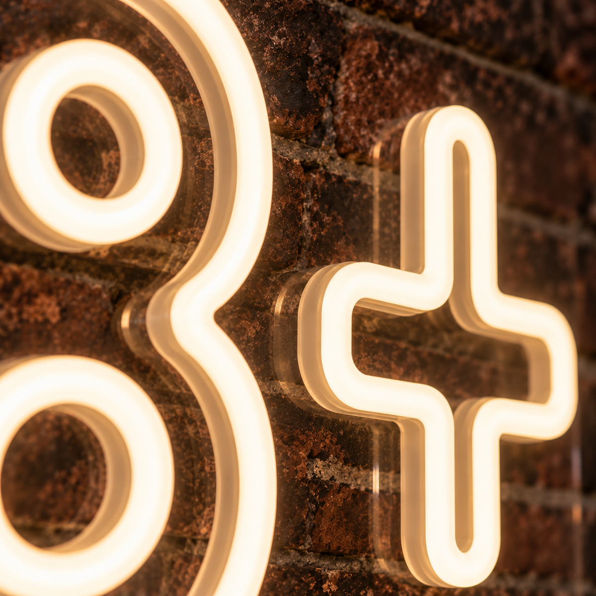 18+ - Neon Sign